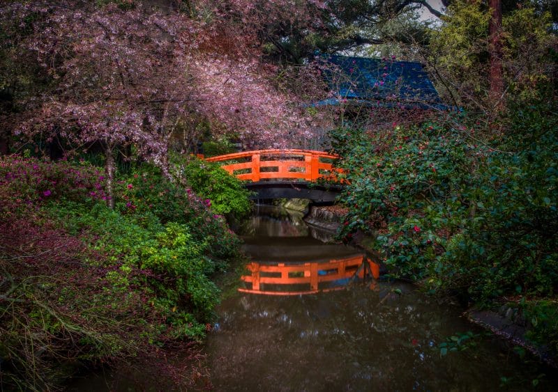 5 magical Japanese gardens Los Angeles