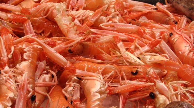 India restricts U.S. domestic seafood market
