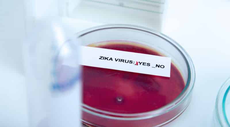Dozens of newborns in new York found a virus zika