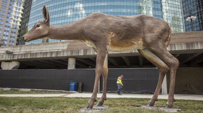 In Chicago spotted the three-deer (photo)