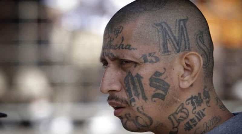 The most dangerous gang in the country moved to new York