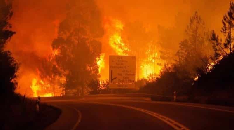 Forest fires in Portugal: more than 60 killed (photo)