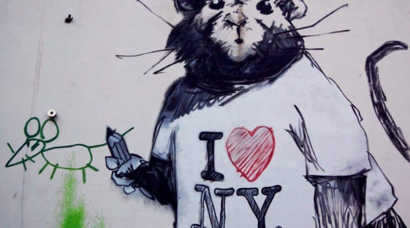 Summer in new York: rats and pizza (video)