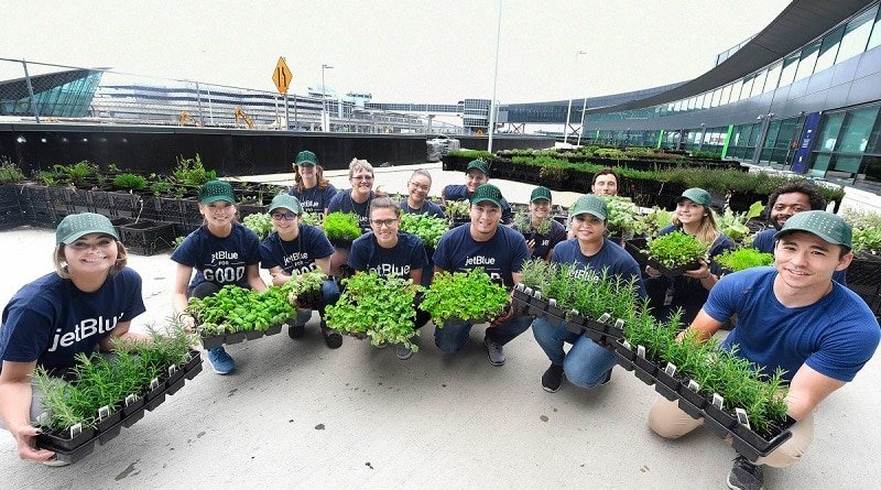 JetBlue employees are struggling with stress, growing vegetables in JFK