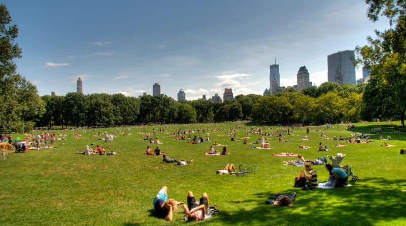 Summer in new York: how to survive the heat
