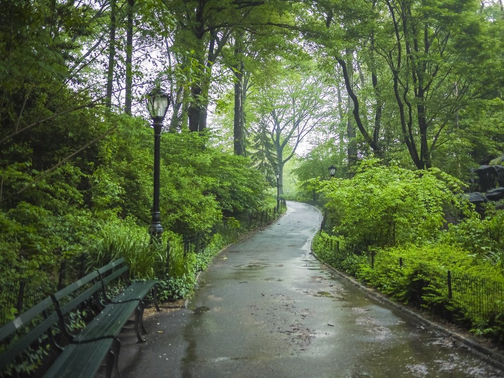Summer in new York: what to do in Central Park