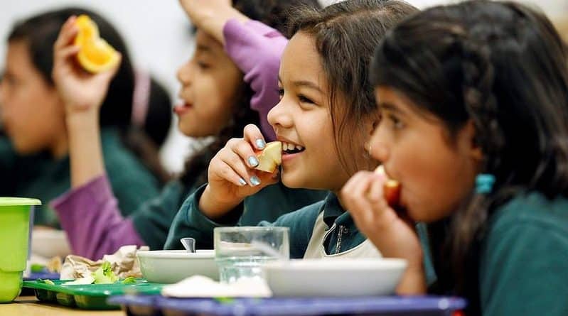 In new York, will introduce common standards of nutrition for all students