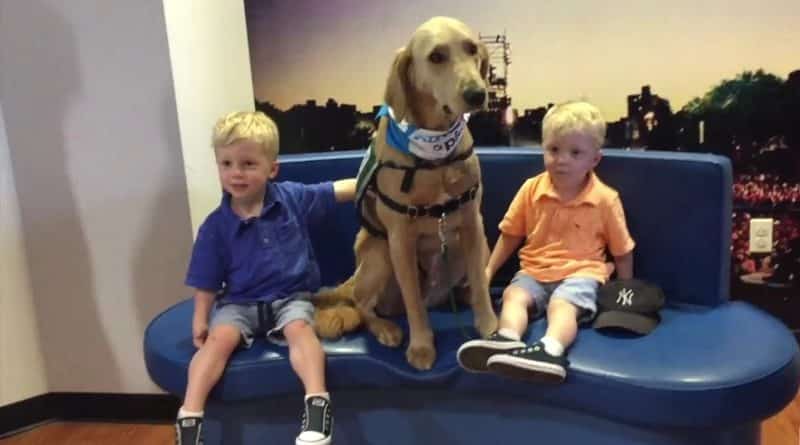 Dog therapist helps sick children at the Kravis Children’s Hospital