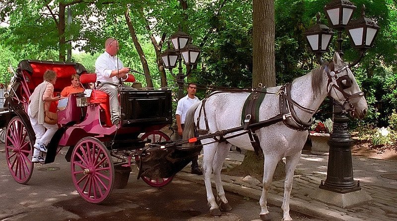 De Blasio prefers to leave new York without horse-drawn carriages