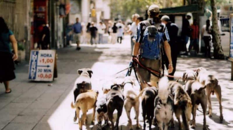 In new York city banned the dogs for the money
