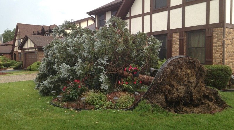 Storm in Chicago: huge hail and fallen trees (photo, video)