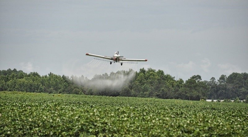 Residents of Miami are suing the authorities, demanding to stop the spraying of pesticides