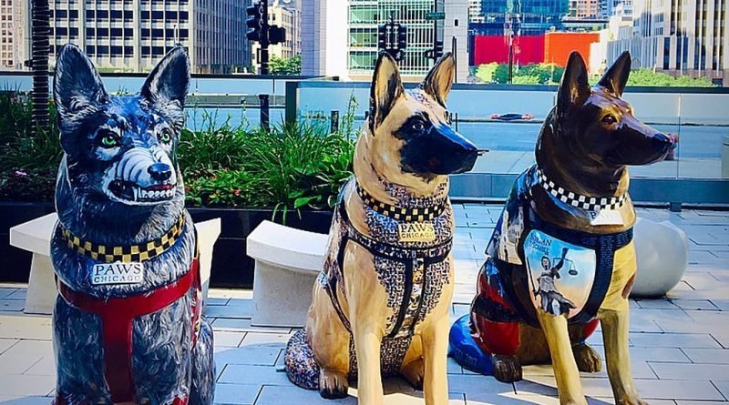 Police dogs dedicated to the art installation in Chicago