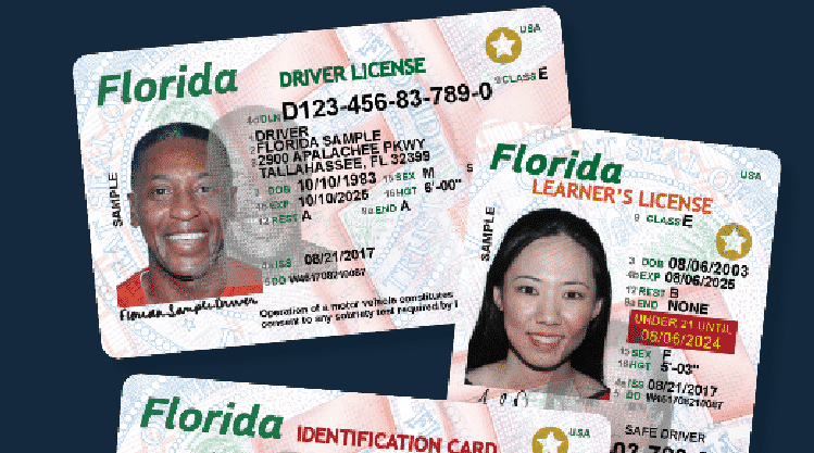 In Florida implement the driver’s license of the new sample
