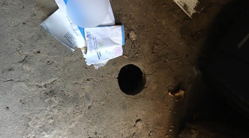 The rat was stealing mail in order to elevate the hole