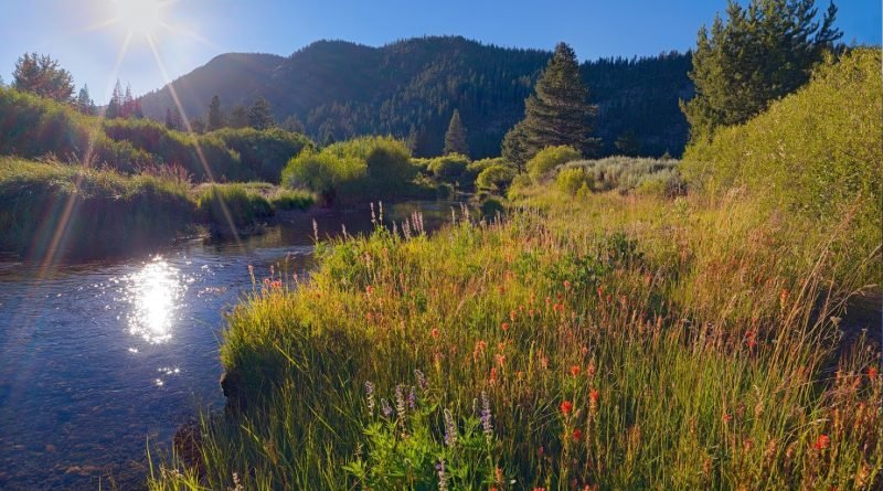 Natural «secret garden» was opened in California