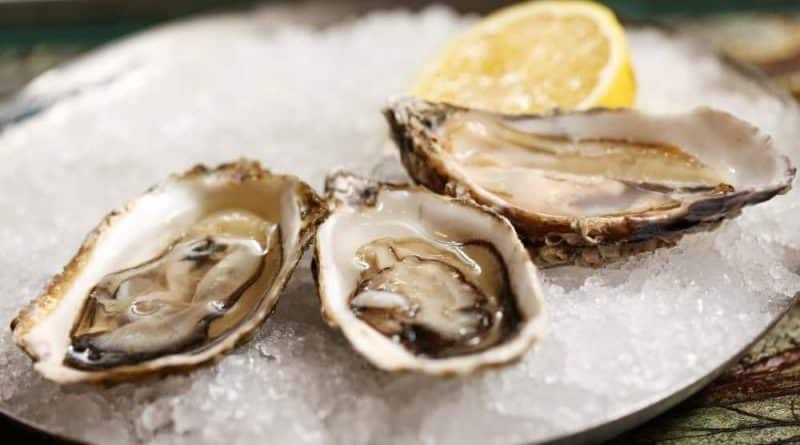 A woman with a history of leukemia, poisoned oysters and died