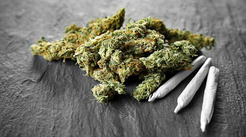 In Brooklyn will open the first dispensaries marijuana