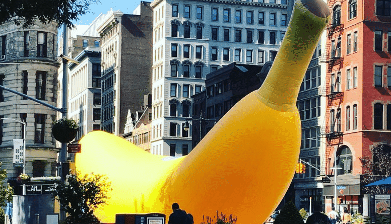 The giant banana has become the new landmark of new York