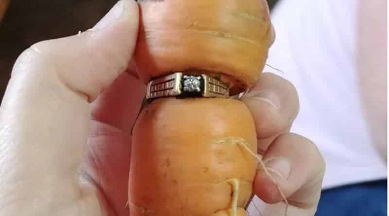 A woman found a wedding ring missing for 13 years ago, grown carrots