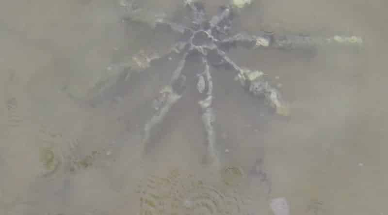 In the waters of Rhode island had a mysterious object with metal «tentacles»