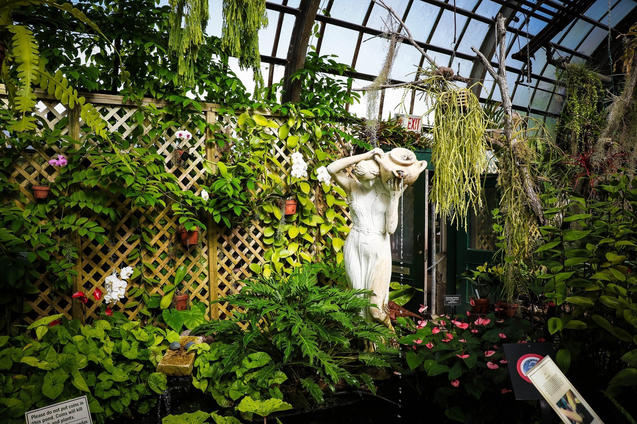 Traveling in USA: Greenhouse, Garfield Park, Chicago, Illinois