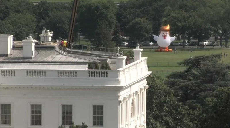 The White house has a giant inflatable chicken with trump’s hair
