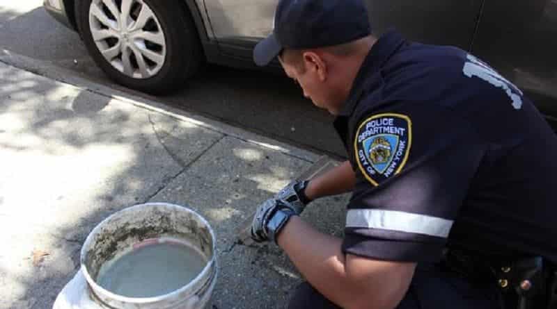Police from Brooklyn got rid of the swastikas on the pavement