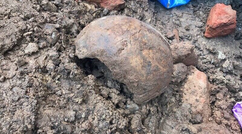 In Manhattan found the skull from the past (photos)