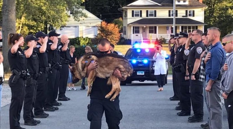 Dozens of police officers lined up to say goodbye to service dog