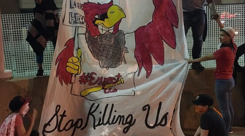 Fans hung a banner «Stop killing us» during a baseball game