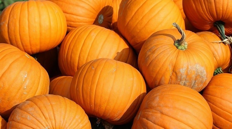 School in Baltimore was evacuated because of the smell of pumpkin