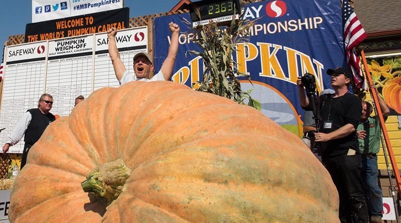 In California grew a giant pumpkin