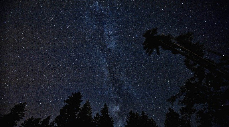 The meteor shower is best visible in the Eastern States
