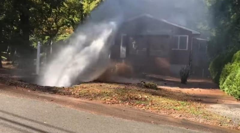 In Staten island scored a geyser (video)