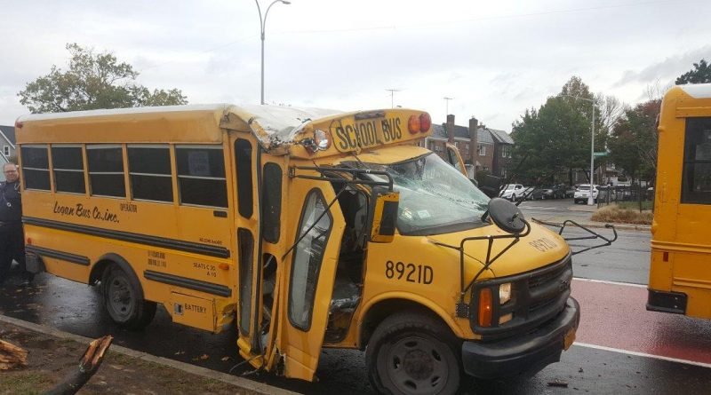 Because of the wind, a tree branch fell on a school bus: 8 children injured