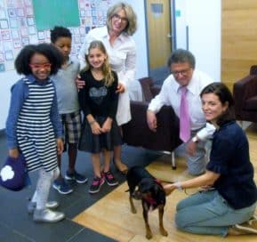 «Dog comfort» will help new York students to cope with the load