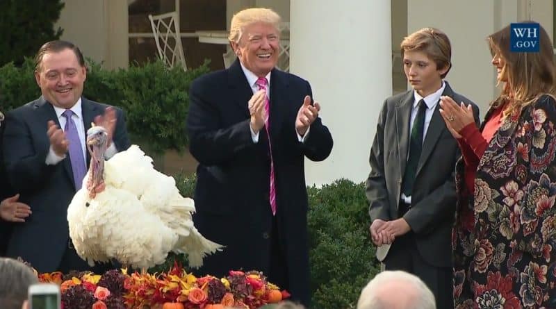 President trump solemnly pardoned turkeys