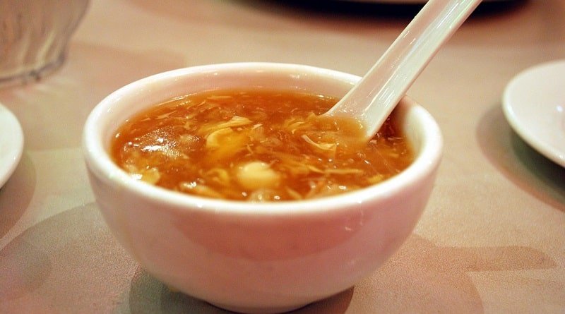 Animal advocates have criticized trump for eaten in Vietnam «shark soup»