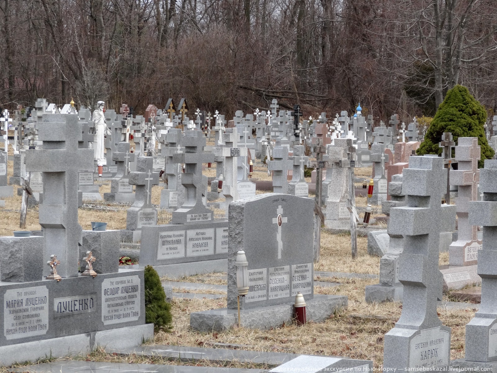 кладбище в болгарии