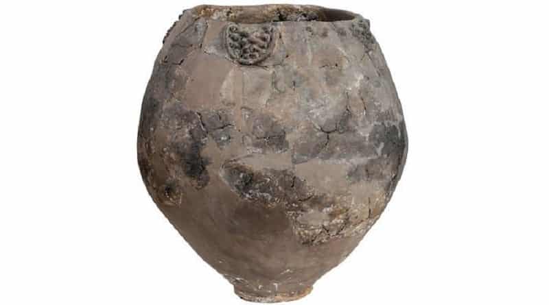 «The world’s oldest wine» was found in vessels, of which 8 thousand years
