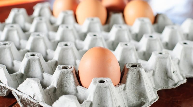 Trump will cancel the rules establishing the terms and conditions of the production of organic eggs