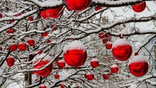 In new York and Chicago expected snow at Christmas