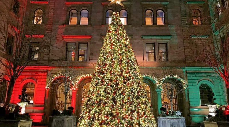Holiday season in new York| Underrated Christmas spruce