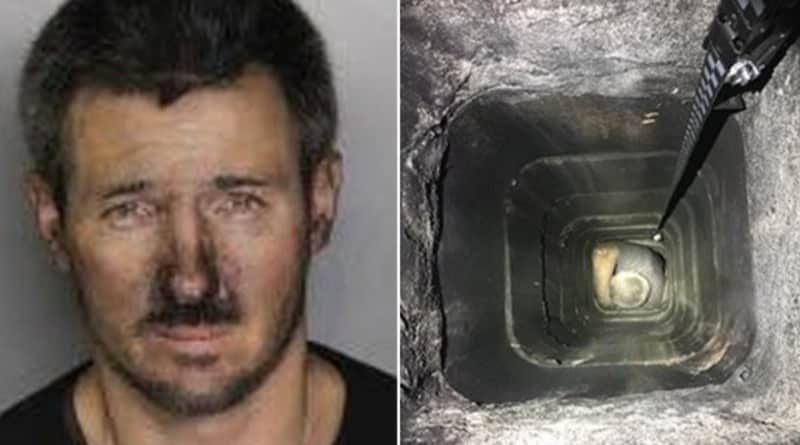 In California, the thief stuck in the chimney and called 911…