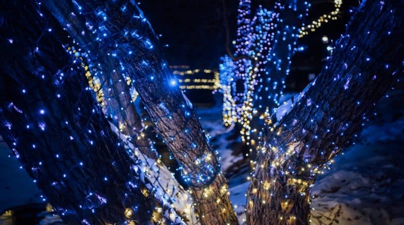 Travel around the US: cities with the best festive lights