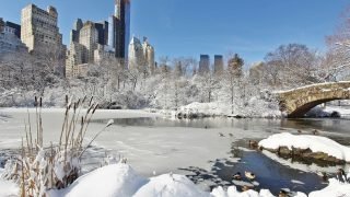 New year in new York are expected extreme cold