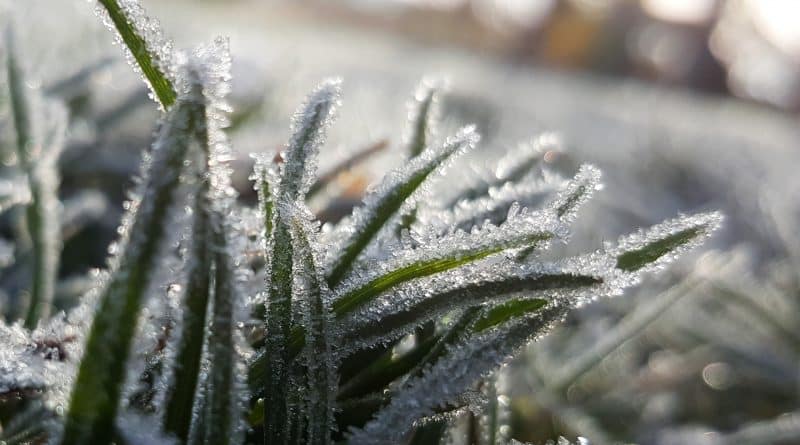 On the weekends in the southern United States are expected frosts