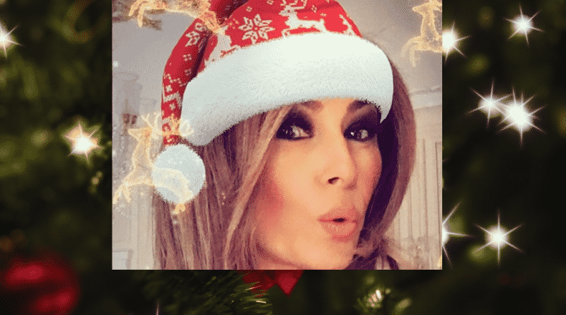 Melania trump congratulated followers by posting a selfie in a Christmas cap