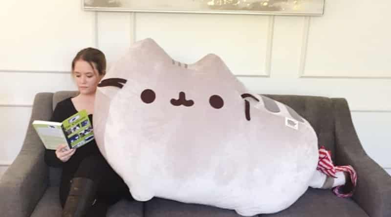 Bill gates has again become a «secret Santa» and gave the girl a giant cat (photo)
